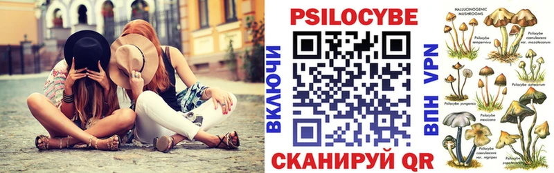 Галлюциногенные грибы GOLDEN TEACHER что такое кракен вход Хасавюрт